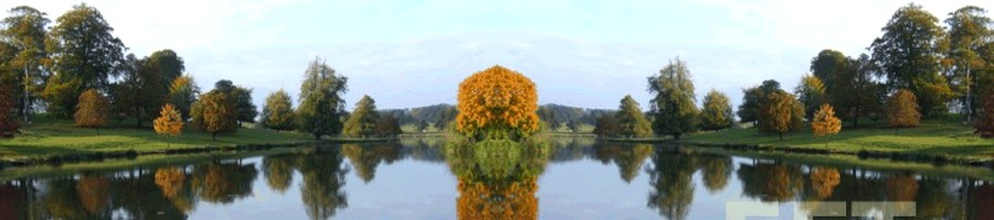 stacks_image_E942A3D8-2A70-4FA6-8537-ED251811F409